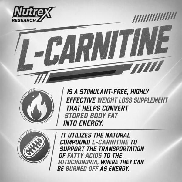 l carnitine fiyatları L-Carnitine Limon 1000 gr Fiyatı | MySupplement
