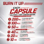 Lipo6 Black Ultra Concentrate | Advanced Fat Burner | 60 capsules - Image 6
