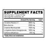 Skeleton Nutrition All Out Pre-Workout Powder – 40 Servings High-Performance Formula - Image 2