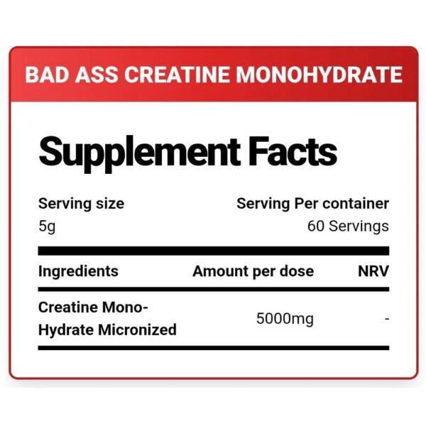 Kevin Levrone Anabolic Creatine Monohydrate Supplement 2